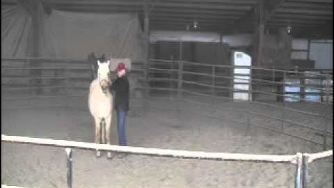 Spring Tune Up on Fancy with Smokie Brannaman