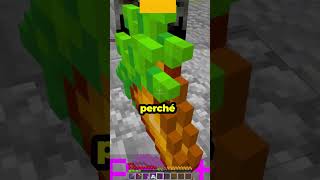 Il tasto SEGRETO di Minecraft su Console!