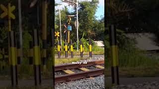 Mobil Merah Melewati Jpl Gitik Rogojampi