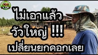 ไม่เอาแล้ววัวใหญ่ผมเจอมากับตัวเปลี่ยนสายพันธุ์วัวยกคอกเลย?