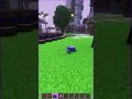 The Peacock Fan Can Teleport You