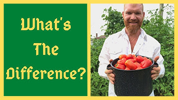 Tomatoes: Determinate vs. Indeterminate - What
