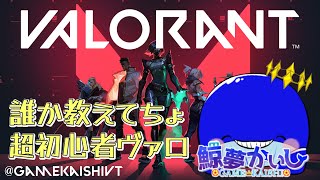 『ヴァロラント参加○』久しぶりぶりのヴァロ配信…初心者です！鯨夢かいしVTuber🐋💤(げいむかいし)【VALORANT】#鯨夢start