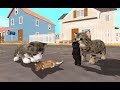 Cat Sim Online: Play with Cats Android Gameplay Ep 10