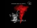 Dynamic Soul Tipsta Kondelela Feat Tiyani