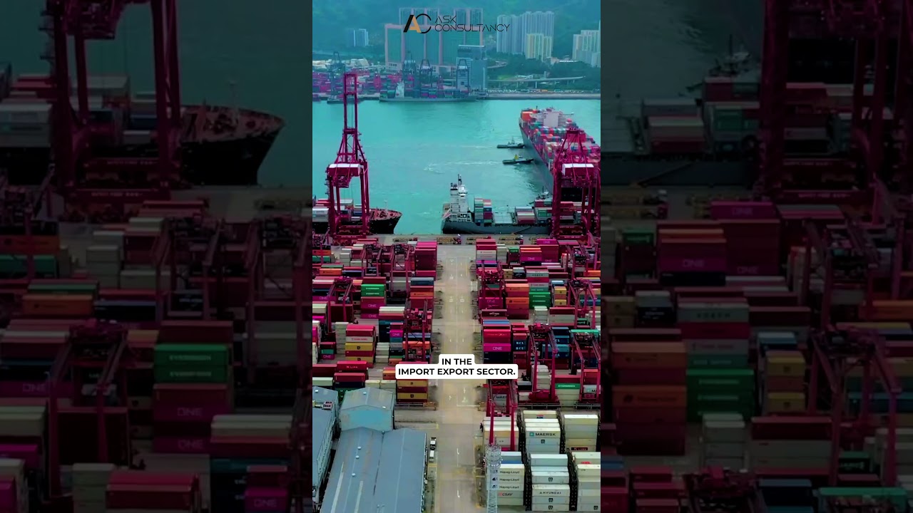 UAE vs India: Where Should You Start Your Business? | Shireen Kapoor Expert Guide (Part 2)