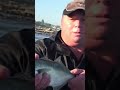 How NOT to Release a Fish | Part ...? #fishing #shorts