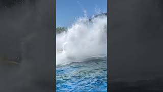 Splash