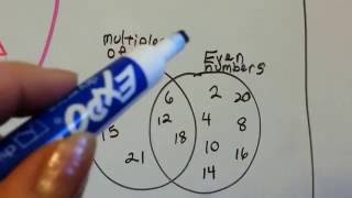 Grade 3 Math #12.8, What are Venn Diagrams