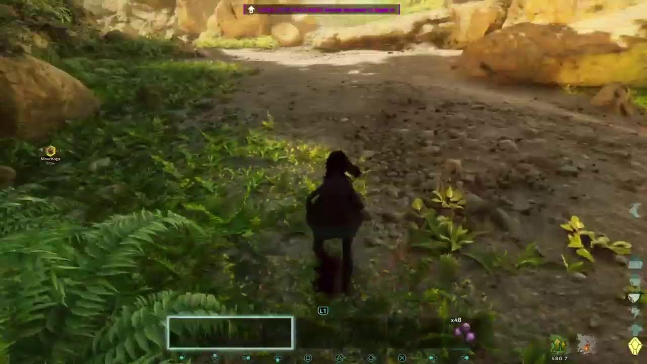 Yay!?! Und Schizzer?  PvP 2024 volcano