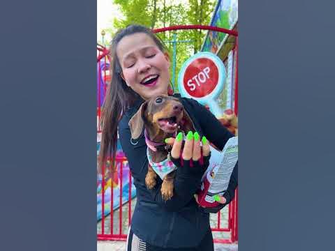 ОБЕЗЬЯНА ОЖИЛА🙈🙈🙈 - YouTube