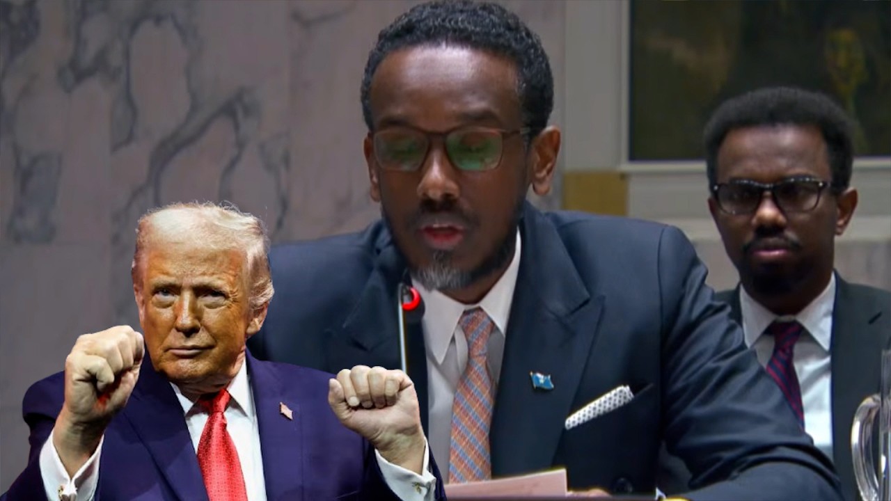 Срочное сообщение: Сомали решительно выступает против поддерживаемых Ираном нападений на свой Сов...