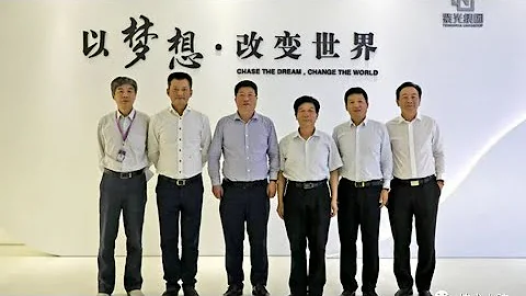 墙内芯片大跃进的丰硕成果：半导体行业大地震，行业六大巨头全进去了[莫寂聊Moji Talks] - 天天要闻
