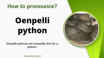 How to pronounce (Oenpelli python) in English correctly