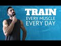 Why You Should Train Full Body Every Day