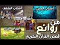 قصص أصحاب الكهف والأخدود والجنة والسبت كأنك تسمعها لأول مرة