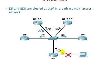 Dr and Bdr ccnp urdu (Zerlish IT Academy)