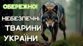 Найнебезпечніші тварини України, яких краще не зустрічати. Ви НЕ ПОВІРИТЕ хто вони