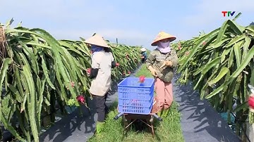 Huyện Ngọc Lặc, tỉnh Thanh Hóa đạt chuẩn nông thôn mới năm 2024