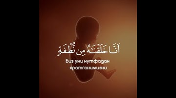 أَوَلَمْ يَرَ ٱلْإِنسَٰنُ أَنَّا خَلَقْنَٰهُ مِن نُّطْفَةٍۢ - القارئ طارق محمد - حالة واتس أب