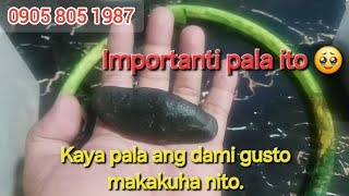 Mutya Ng Linta  Ano Ito At Paano Gamitin