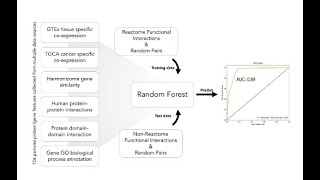 Illuminating the Druggable Genome using ReactomeIDG
