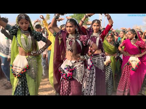 ‼️ आदिवासी डांस वीडियो न्यू!!‼️ 2025 ‼️ Adivasi dance video dance video !!?‼️
