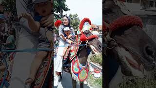 Dede Bayi Dan Ibu Naik Kuda Renggong