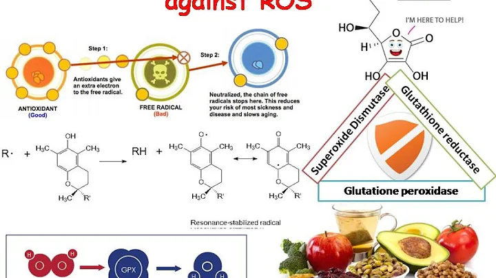 Enzymatic and Non enzymatic defense against  ROS