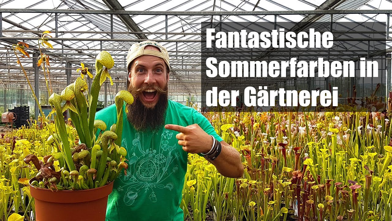 #46 Rundgang durchs Gewächshaus im Juli 2019