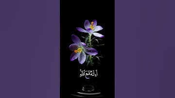 صباح الخير 💜 حالات واتس اب مقاطع قصيره💜قران كريم سورة النمل نأمن يجيب المضطر💜احمد النفيس بدون حقوق