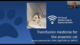 VVS Internal Medicine Webinar Transfusion Medicine for the Anaemic Cat with Dr Jessica Adamany