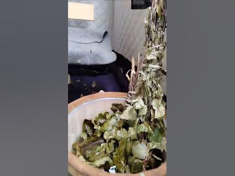 Полевая баня - YouTube