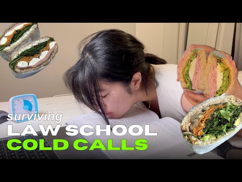 🇨🇦 (eng) vlawg 30. 로스쿨 콜드콜 너 물회하닥오! 교수 너 쏘 루드! | 로스쿨 그만두고 샌드위치집 창업할까?