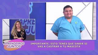 PROGRAMA 272