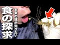 採集で生きた虫を食べまくる友人が強者すぎた