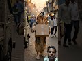 #goldenretriever #humanity #aivideo #youtubeshorts #emotionalstory #inspiration #hearttouching #funn