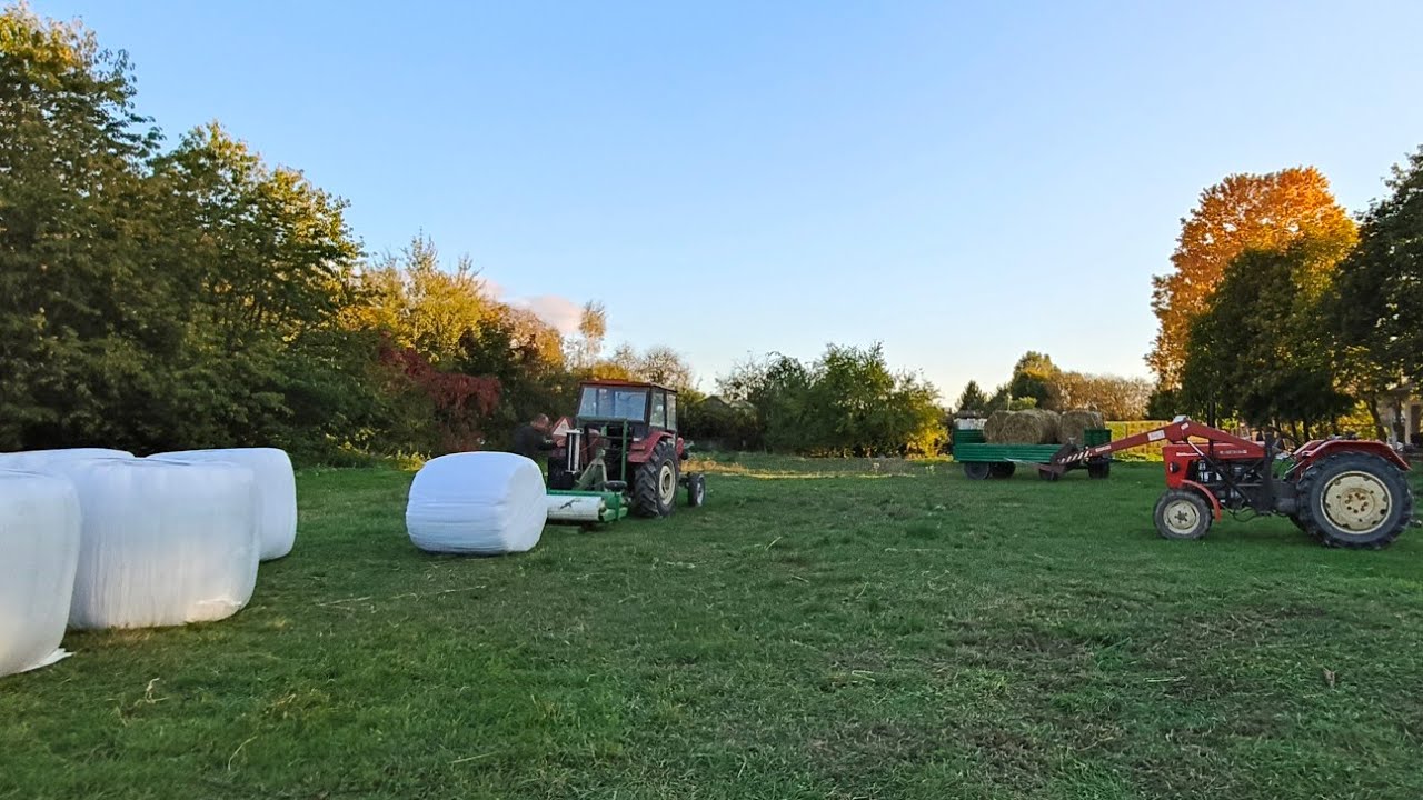 ★Sianokiszonka 2024 ★ Ursus C360 & Ursus C-330★ w rytmie disco ★