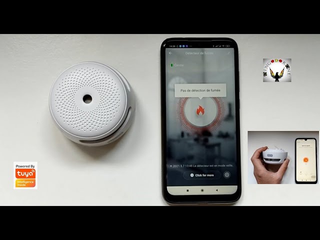 X-Sense Détecteur De Fumé Wi-Fi : Accessible sous iOS Android détecteur de  fumé XSO1-WT 