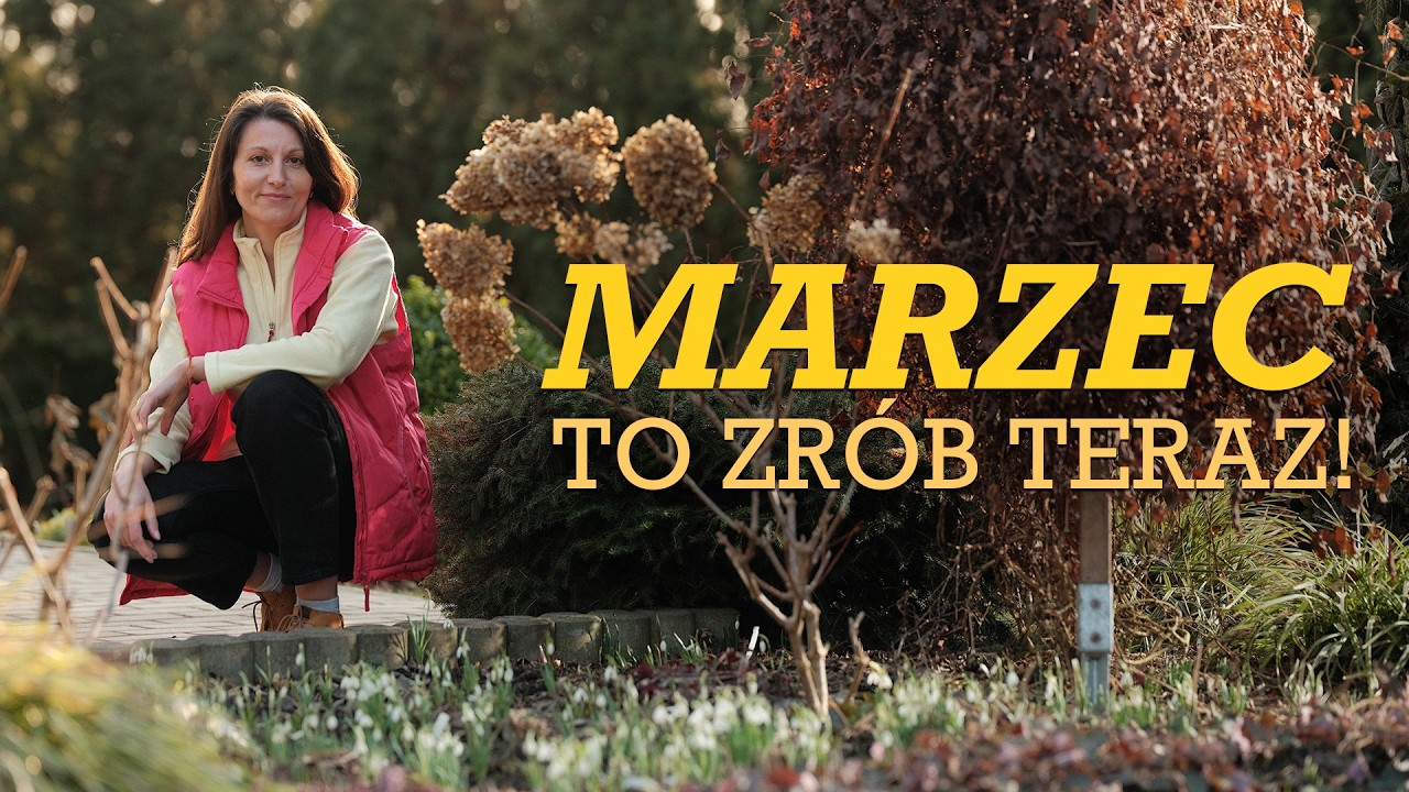 MARZEC W OGRODZIE 🌿 Wiosenne prace w ogrodzie. Cięcie roślin, opryski i siew kwiatów 🌸