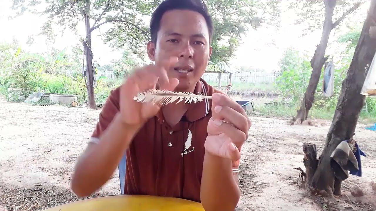 ต่อขนปีกไก่แบบเสียบโคน