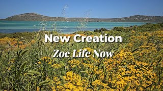 NEW CREATION |  2 Corinthians 5:17 | Uplifting Pop Worship | Lyric Video | Scripture Song