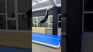 Acrobatics & Taekwondo Tricks!