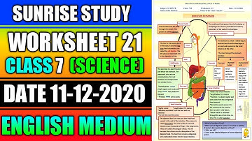 Worksheet no. 21 ONLY ANSWERS Date 11-DEC-2020 Class 7 th Sub :- SCIENCE ( ENGLISH MEDIUM) DOE