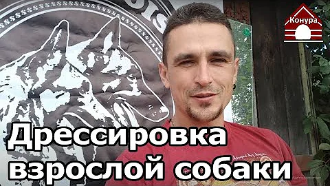 206. Воспитание собаки старше года. Дрессировка взрослой собаки. Предисловие