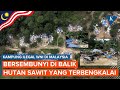 Viral! Perkampungan Ilegal Warga Indonesia di Malaysia: Bertanam Hingga Buat Sekolah Sendiri