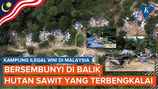 Viral! Perkampungan Ilegal Warga Indonesia di Malaysia: Bertanam Hingga Buat Sekolah Sendiri screenshot 3