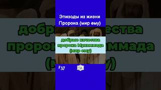 Добрые качества Пророка Мухаммада (мир ему) # #религия #мусульмани #аллах #коран #пророкмухаммадﷺ