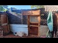 Putting A Good Structure For My Chickens Happy African Lady Putting A Good Structure For My Chickens Happy African Lady