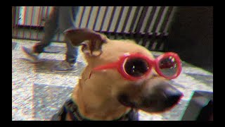 Mary Annes Polar Rig - Dopamine Detox (Official video)